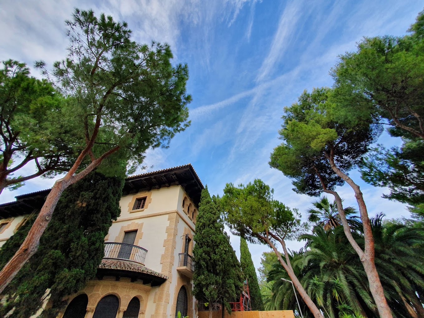 Pinos y torre del edificio